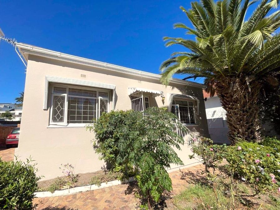 The single-storey house from the garden, with a big palm tree beside it