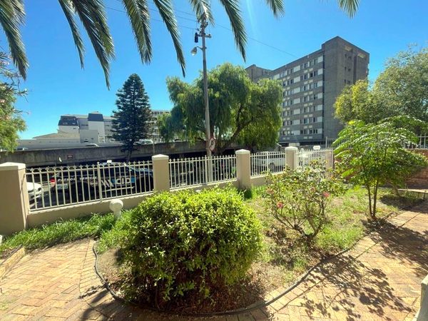 The front garden with palms, shrubs and a paved path behind the front fence